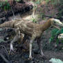 Fuzzy Asilisaurus Reconstruction