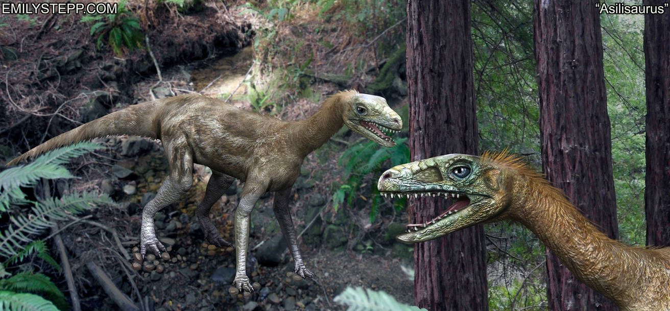 Asilisaurus Fuzzy Asilisaurus Reconstruction by EmilyStepp on DeviantArt