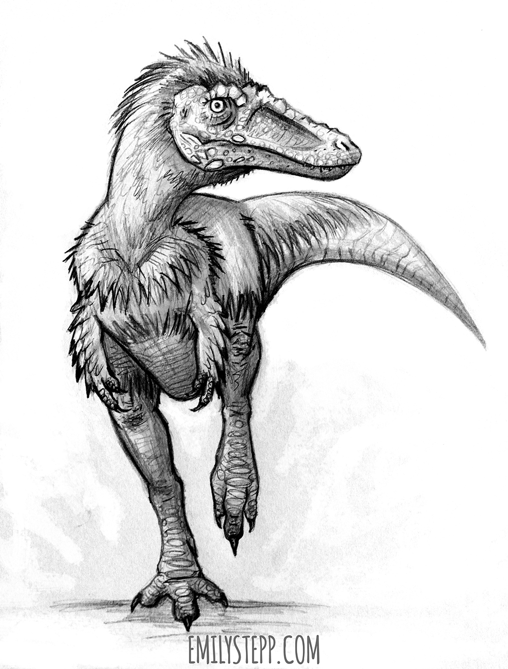 Qianzhousaurus Sketch