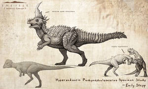 Hyperendocrin Pachycephalosaurus
