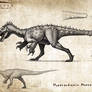 Hyperendocrin Herrerasaurus