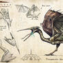 Tissoplastic Quetzalcoatlus