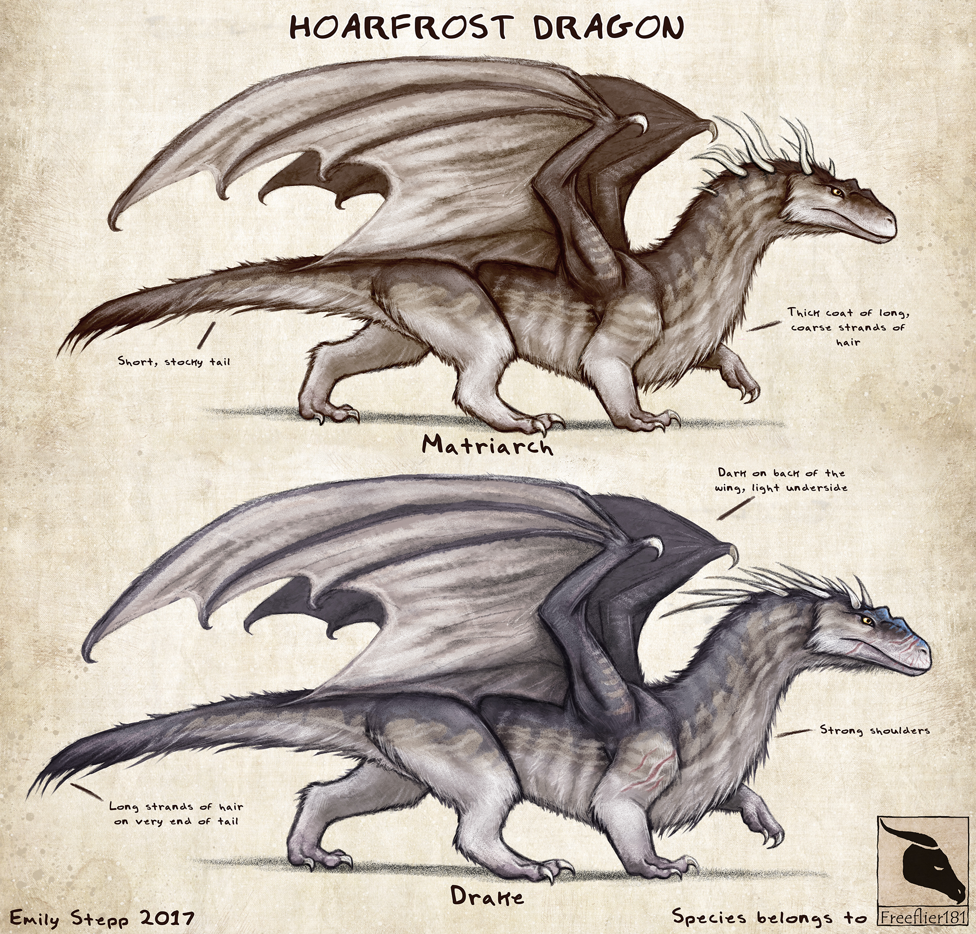 Hoarfrost Dragon Concept Commission