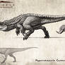 Hyperendocrin Carnotaurus Study