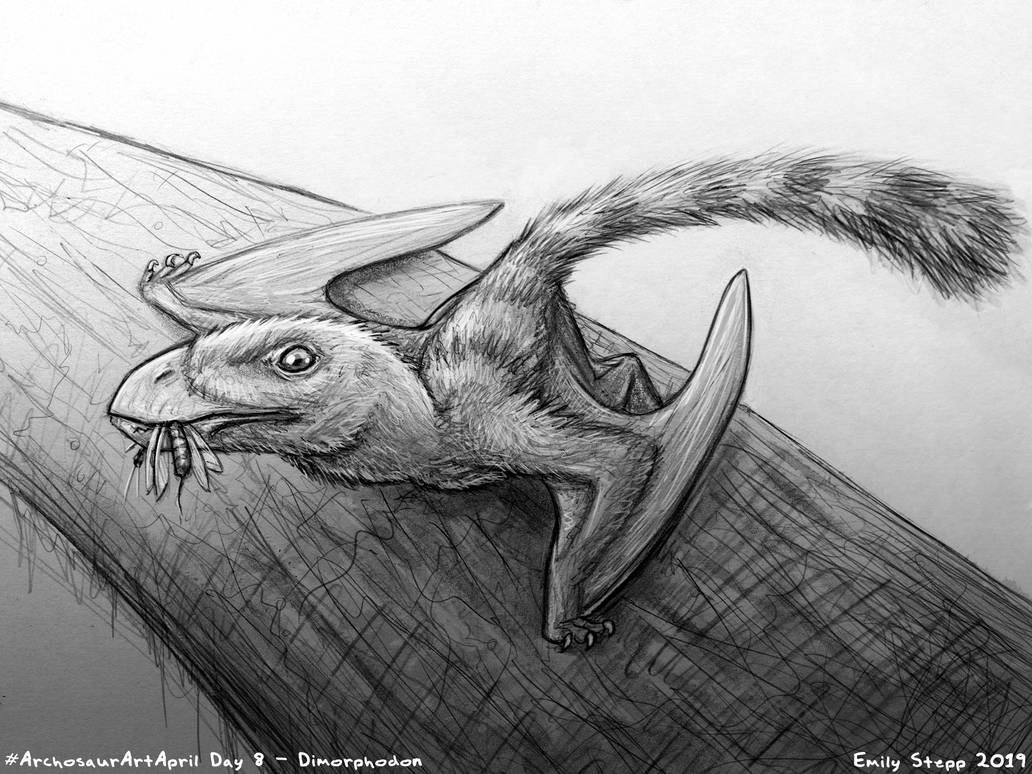 Archosaur Art April Day 8 - Dimorphodon by EmilyStepp on DeviantArt