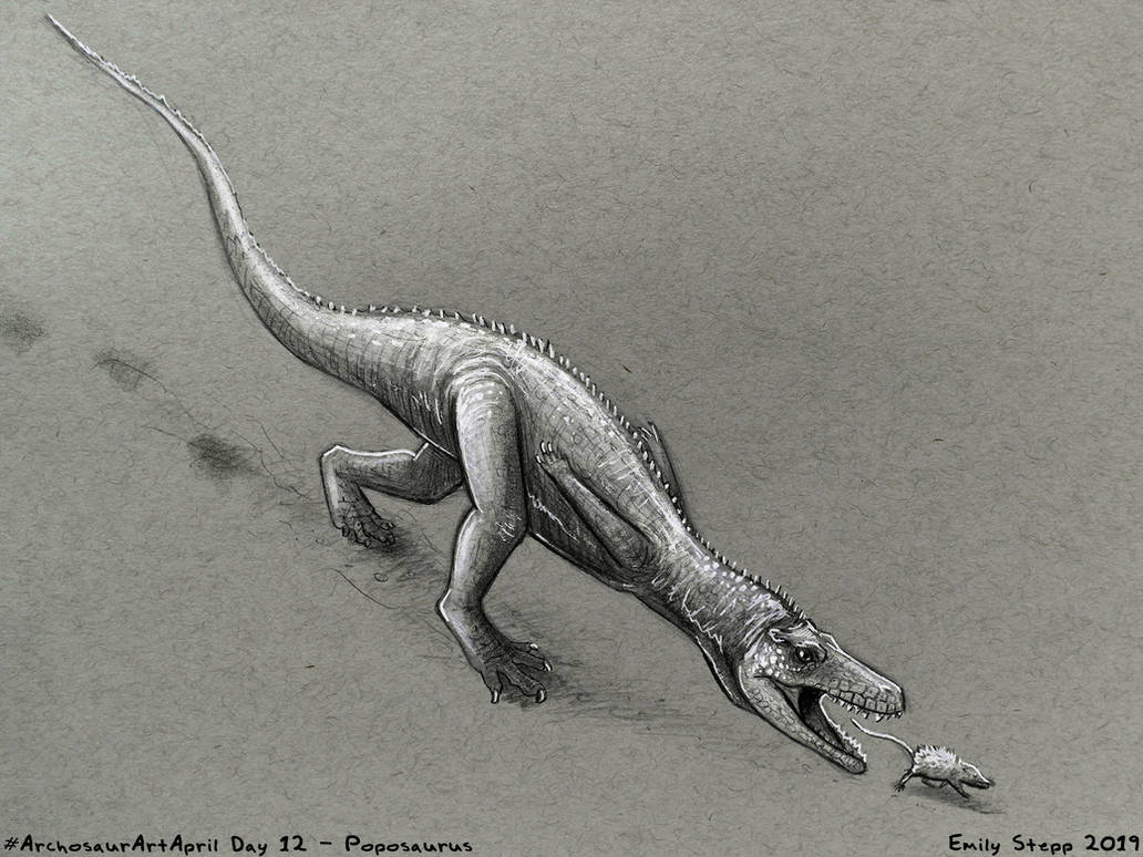 Poopasaurus Rex Archosaur Art April Day 12 - Poposaurus by EmilyStepp on DeviantArt