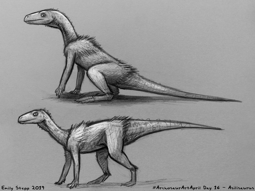 Asilisaurus Archosaur Art April Day 16 - Asilisaurus by EmilyStepp on DeviantArt