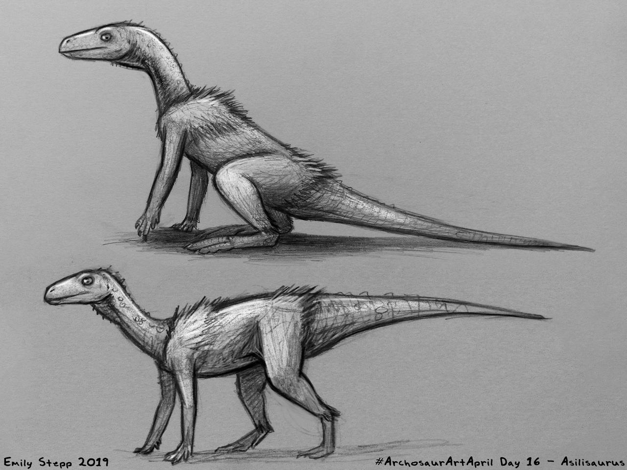 Asilisaurus Asilisaurus Waxing Paleontological: Slightly More Hopeful Dinosaurs