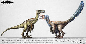 The Isle Feathered Velociraptor Fan Concept