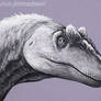 Allosaurus jimmadseni Portrait Sketch