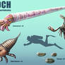 Epoch - Paleozoic Invertebrates