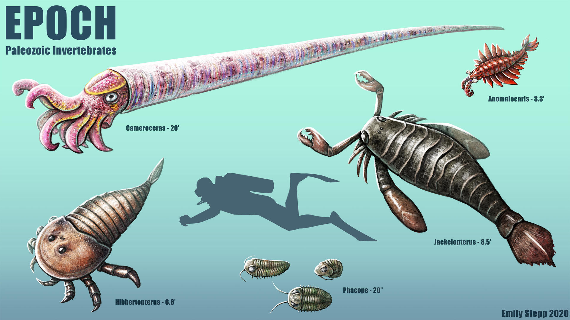 Epoch - Paleozoic Invertebrates by EmilyStepp on DeviantArt