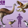 Epoch - Holocene Birds