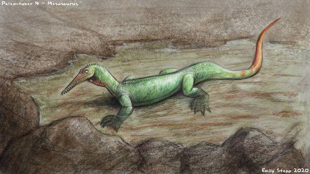 Pygocephalomorph Explore the Best Mesosaurus Art | DeviantArt