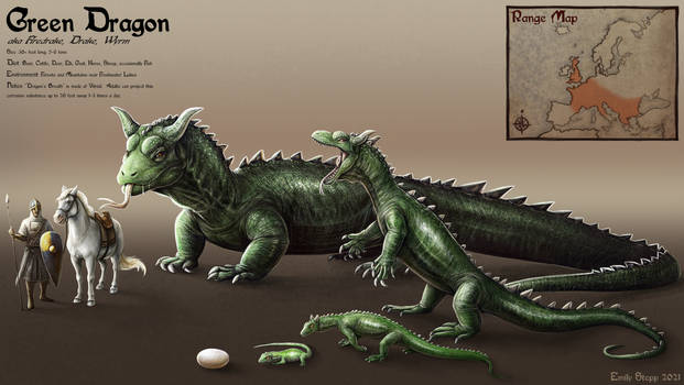 Green Dragon Ontogeny Study