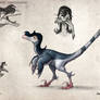Velociraptor Character Concept Sheet