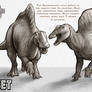 JW Asset vs. Ancestor: Ouranosaurus
