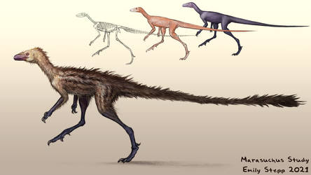 Explore the Best Marasuchus Art DeviantArt