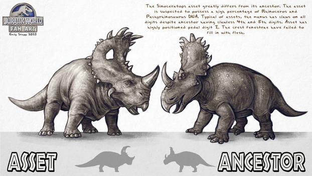 Asset vs. Ancestor: Sinoceratops