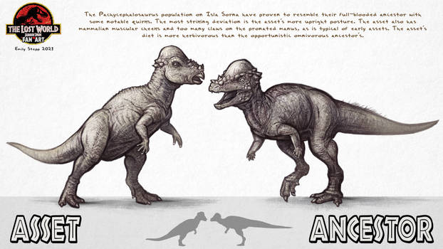 Asset vs. Ancestor: Pachycephalosaurus