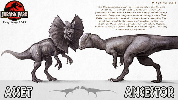 Asset vs. Ancestor: Dilophosaurus
