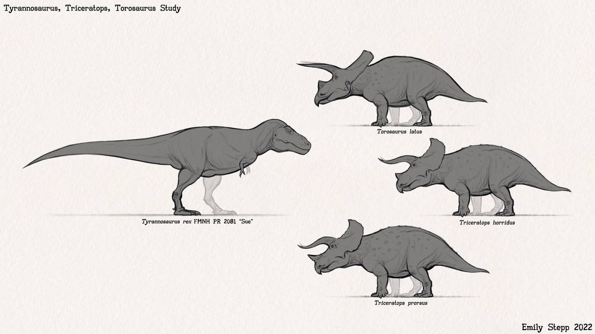 Torosaurus And Triceratops Study By EmilyStepp On DeviantArt torosaurus-and-triceratops-study-by-emilystepp-on-deviantart