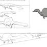 Spinosaurid Study