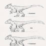 JW Dominion Pyroraptor DNA Variants