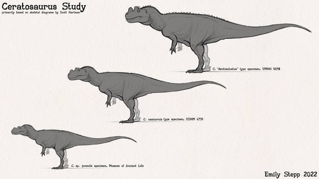 Ceratosaurus Study