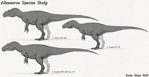 Allosaurus Species Study