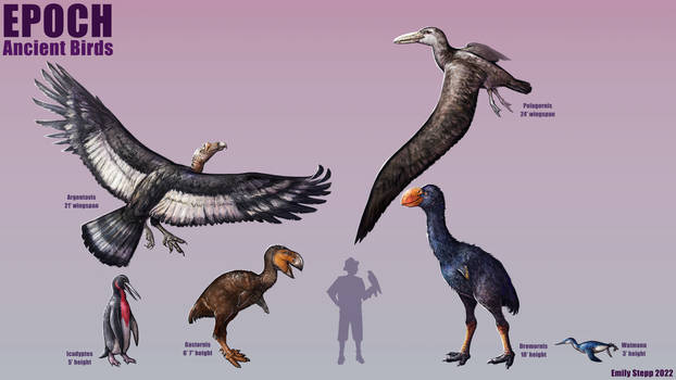 Epoch - Ancient Birds