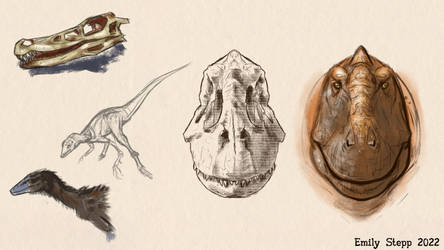 Random Dinosaur Warmup Sketches