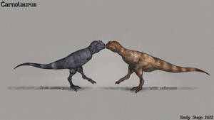 Carnotaurus from memory and reference