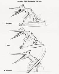 JW Pteranodon Variants