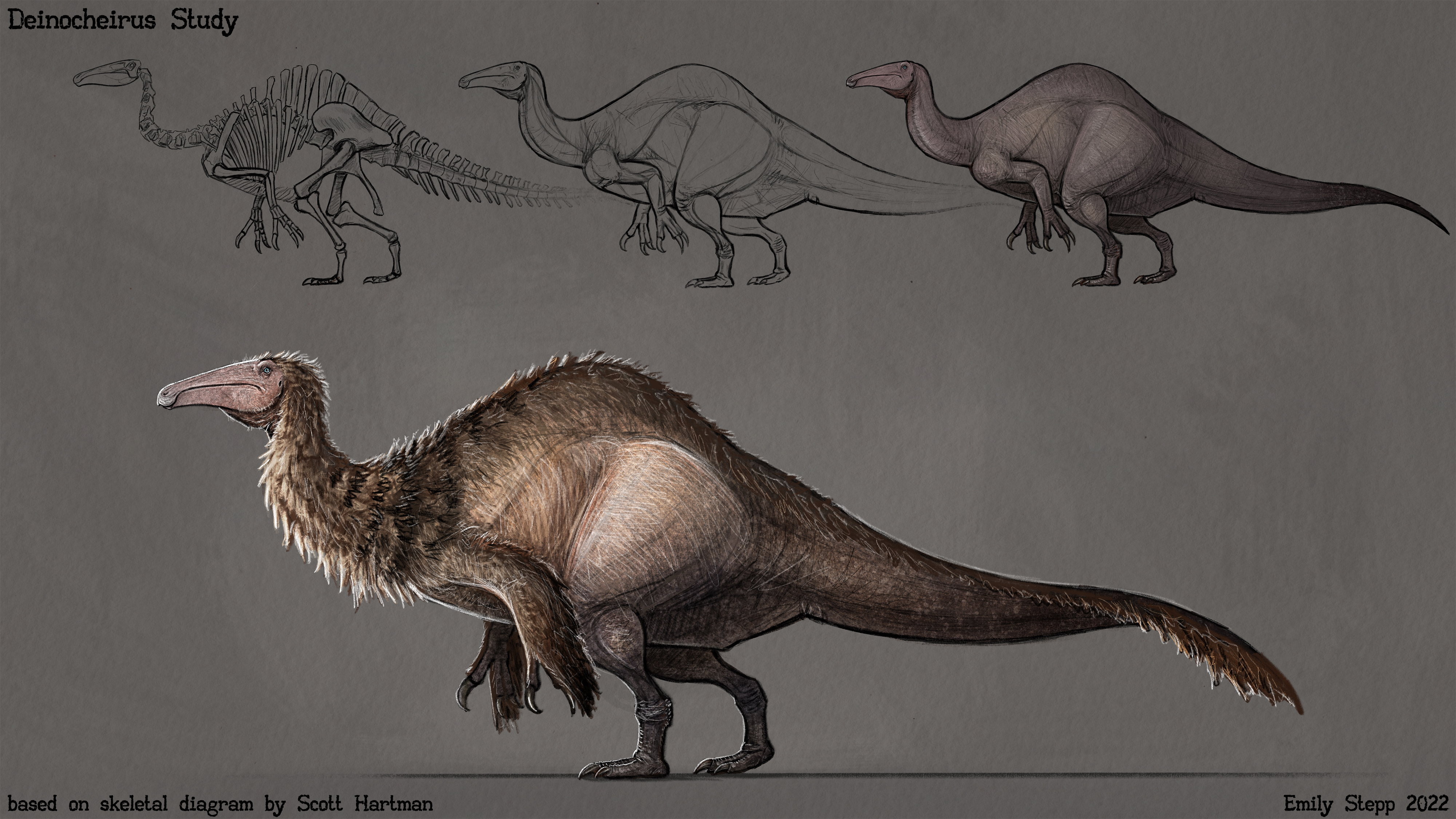 Deinocheirus Study by EmilyStepp on DeviantArt