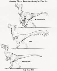 JW Oviraptor DNA Variants