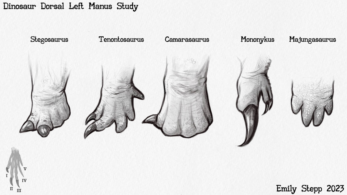Dinosaur Hand Study By EmilyStepp On DeviantArt