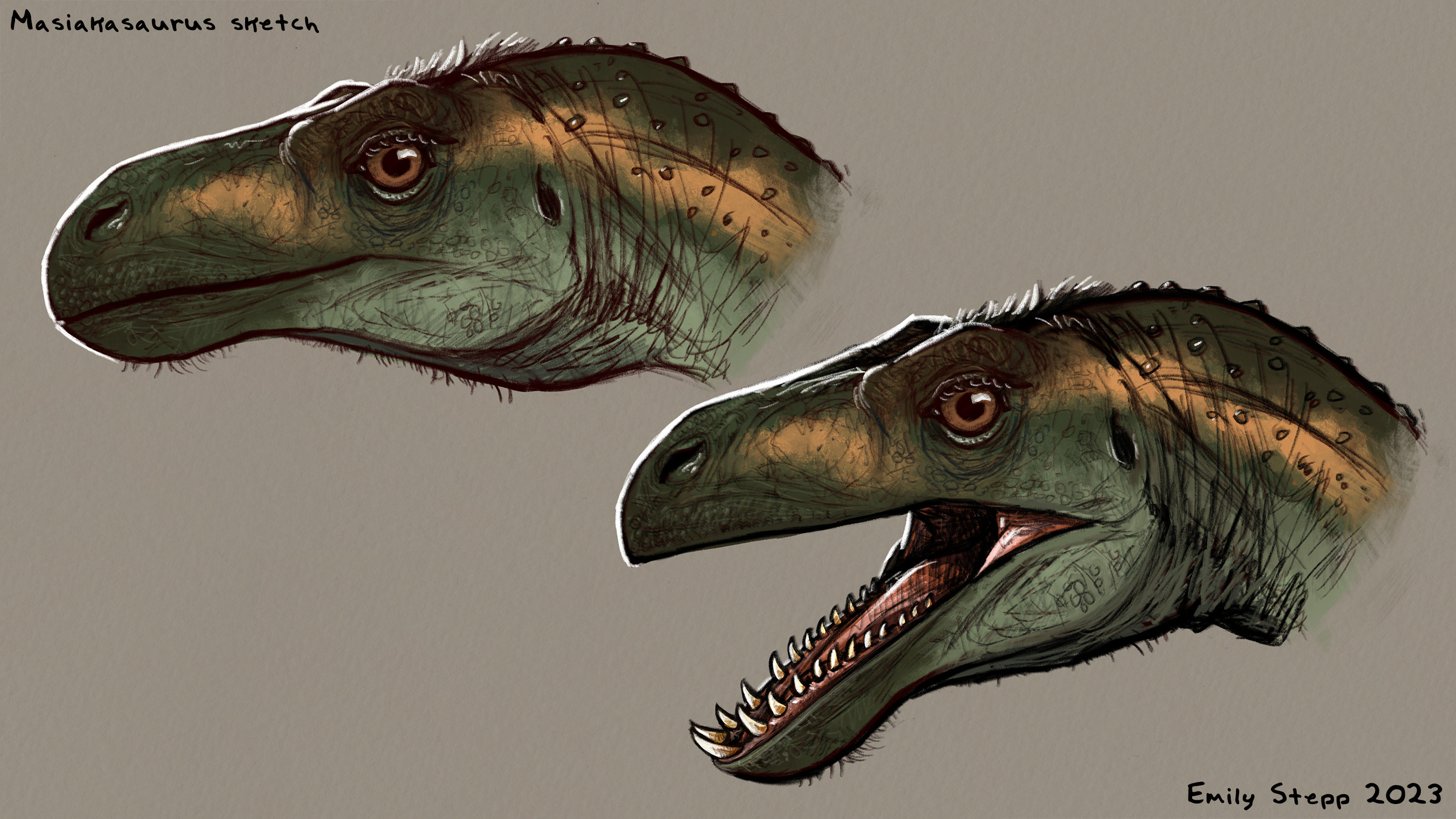 Masiakasaurus Sketch Study By EmilyStepp On DeviantArt masiakasaurus-sketch-study-by-emilystepp-on-deviantart