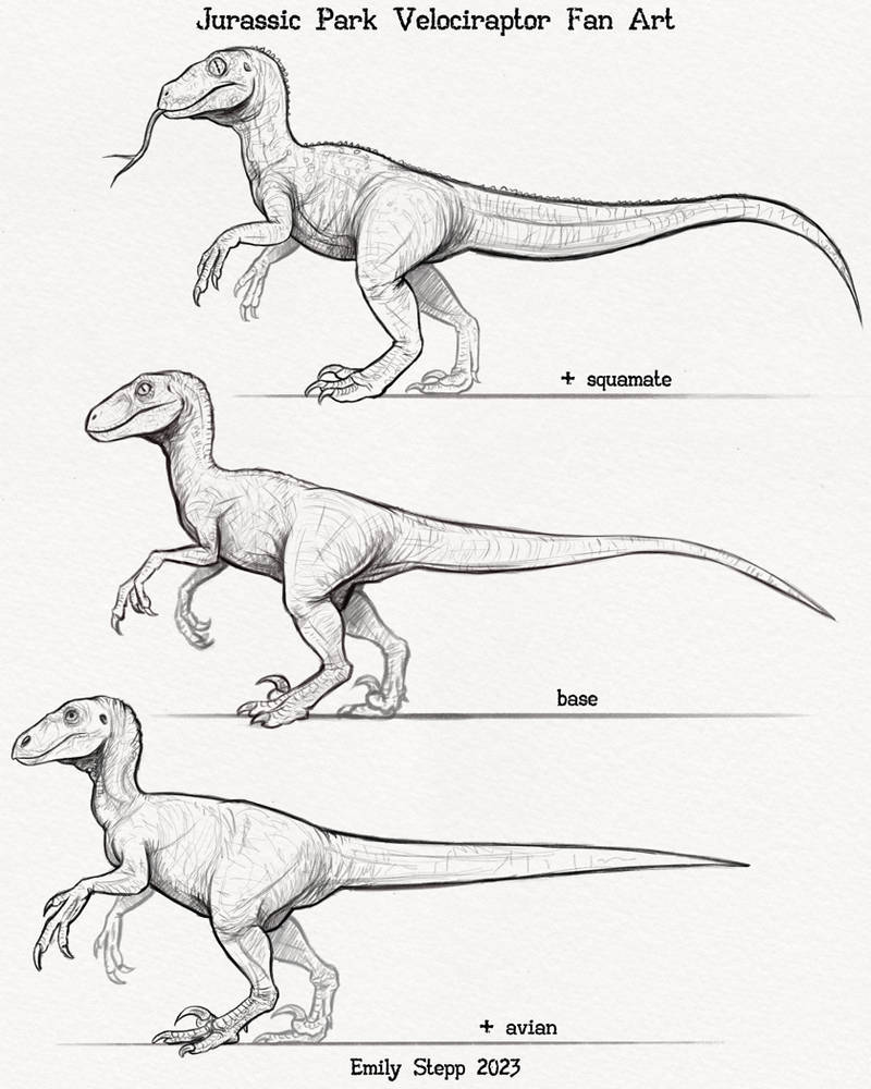 JP Velociraptor Variants by EmilyStepp on DeviantArt