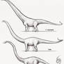 JP Mamenchisaurus DNA Variants