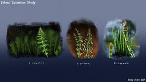 Extant Horsetail Study