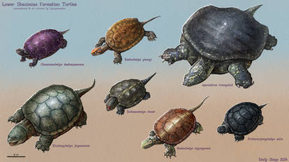 Middle Jurassic Turtles from the Lower Shaximiao