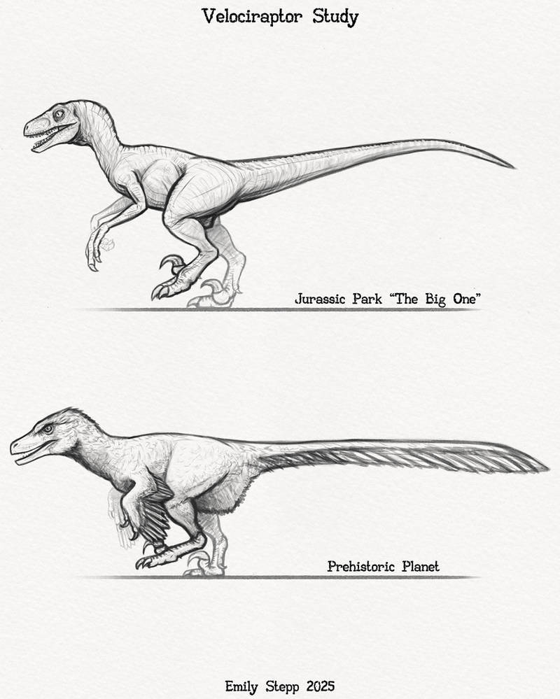 Emily Raptor JP and Prehistoric Planet Velociraptor Study by EmilyStepp on DeviantArt