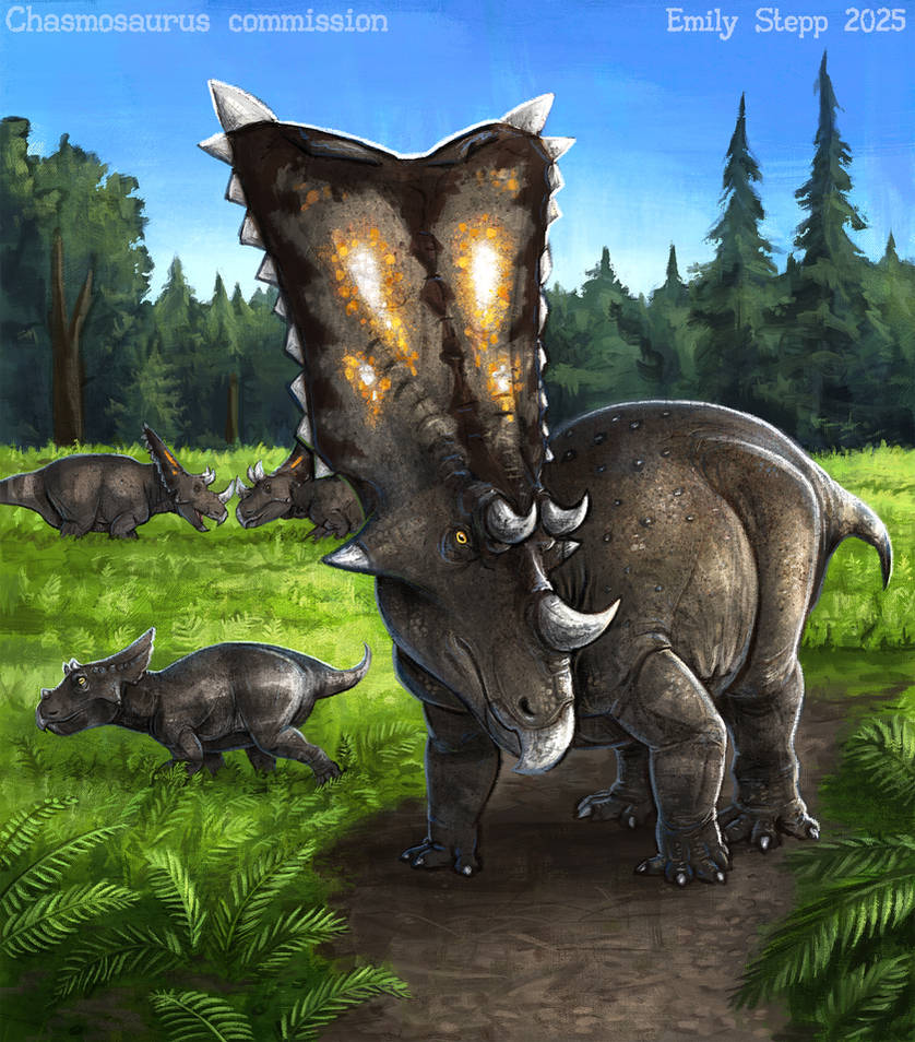 Chasmosarus Chasmosaurus Paleoart Commission by EmilyStepp on DeviantArt