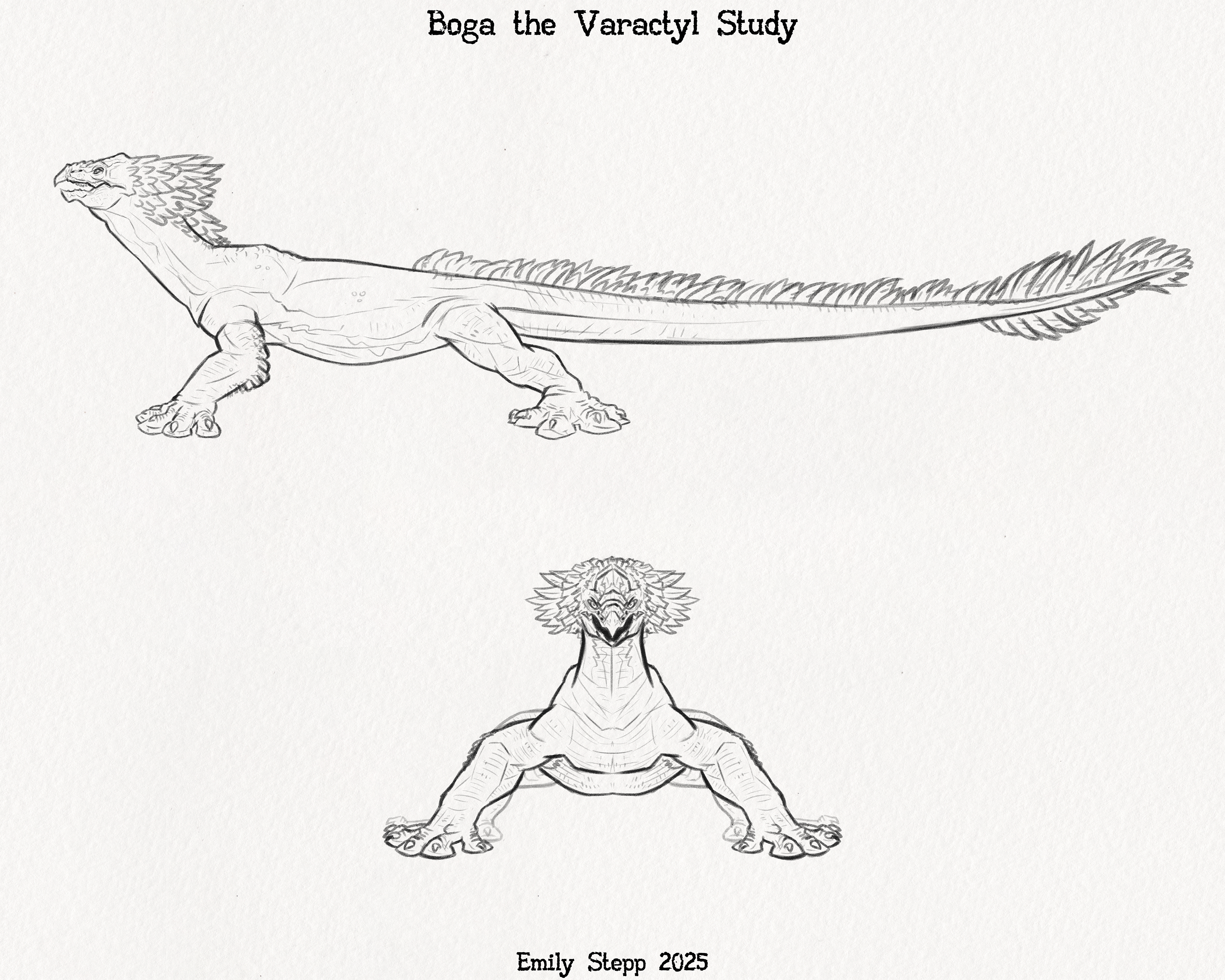 Varactyl Boga the Varactyl Study by EmilyStepp on DeviantArt