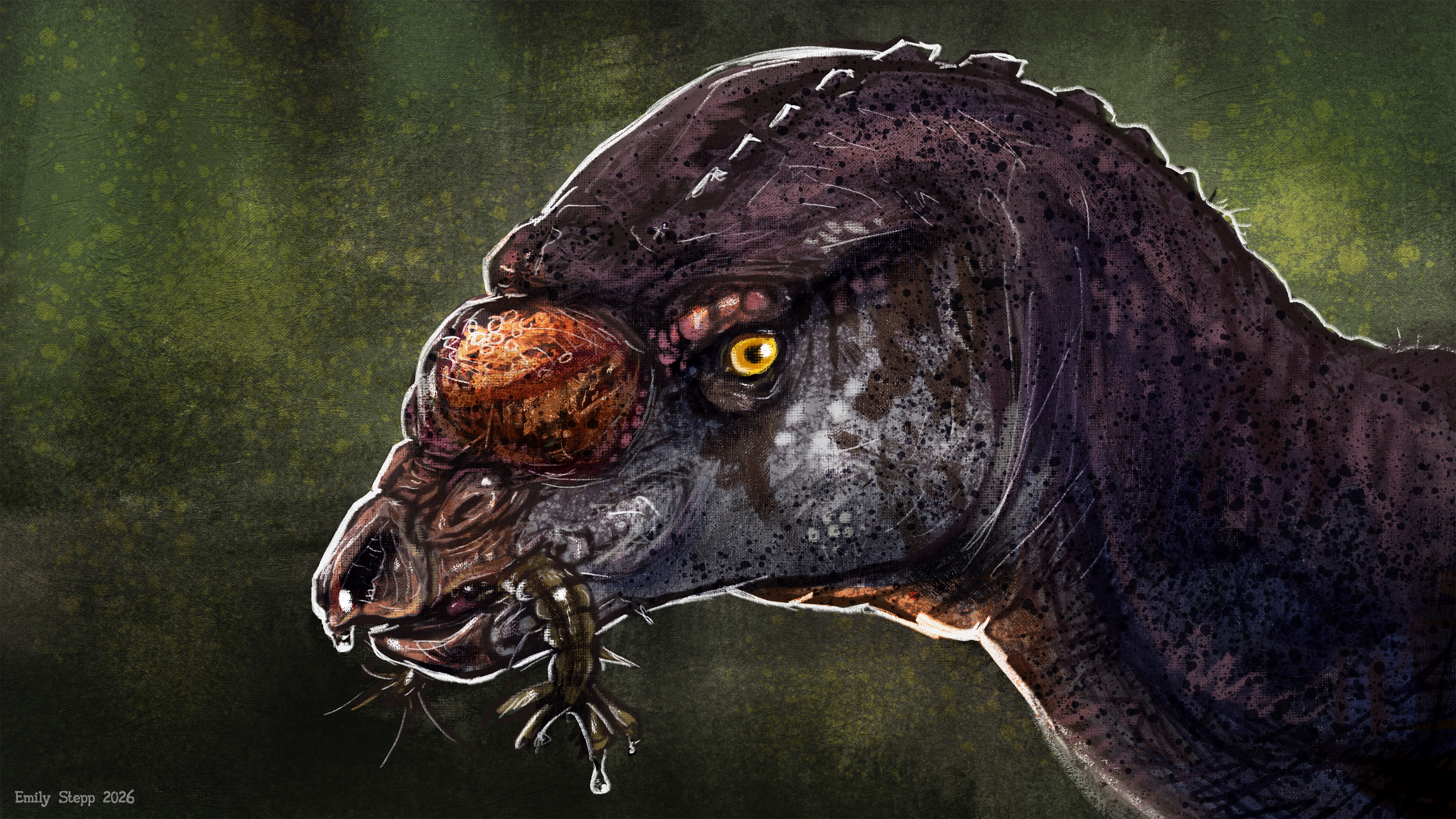 Muttataurus Muttaburrasaurus Paleoart part 3 by EmilyStepp on DeviantArt