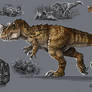 Carnivores Ceratosaurus Specimen Study