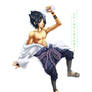 Sasuke: Happy Anniversary