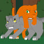 Rusty vs. Graypaw