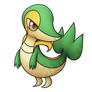 495 Snivy